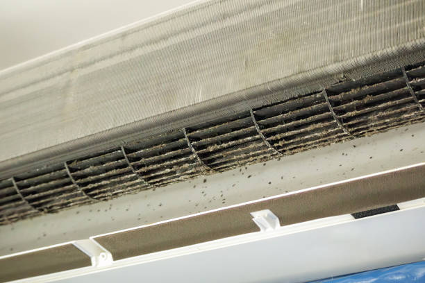 Best Air Duct Cleaning Near Me  in Bedford Heights, OH